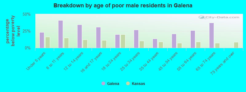 Breakdown by age of poor male residents in Galena