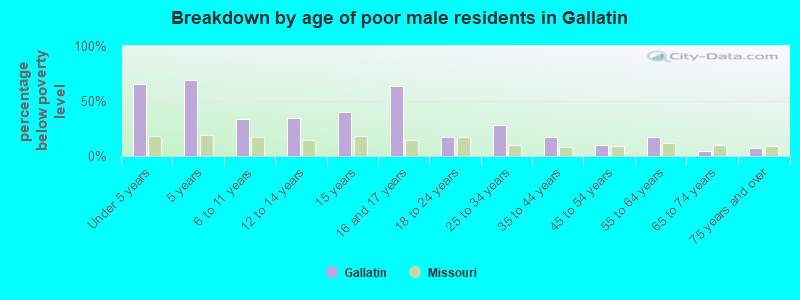 Breakdown by age of poor male residents in Gallatin