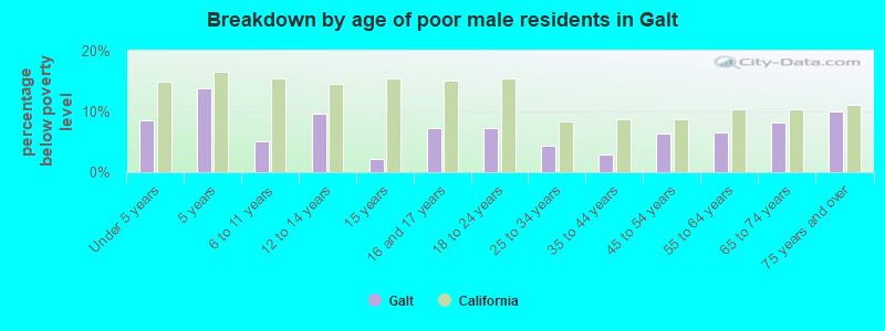 Breakdown by age of poor male residents in Galt