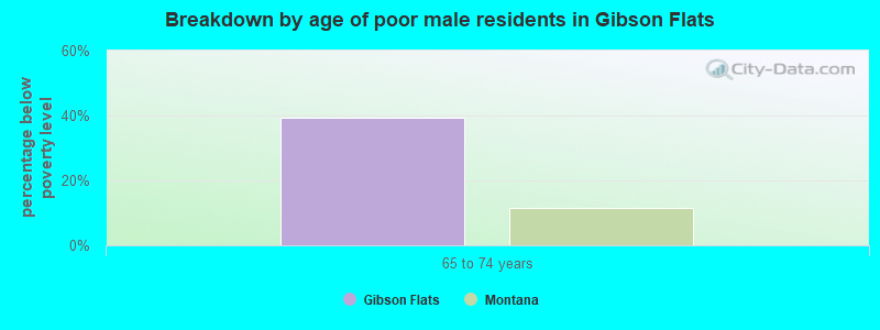 Breakdown by age of poor male residents in Gibson Flats