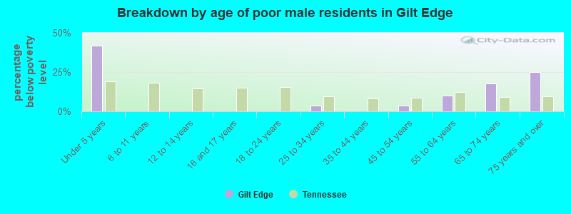 Breakdown by age of poor male residents in Gilt Edge