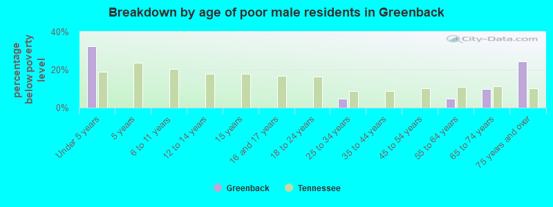 Breakdown by age of poor male residents in Greenback