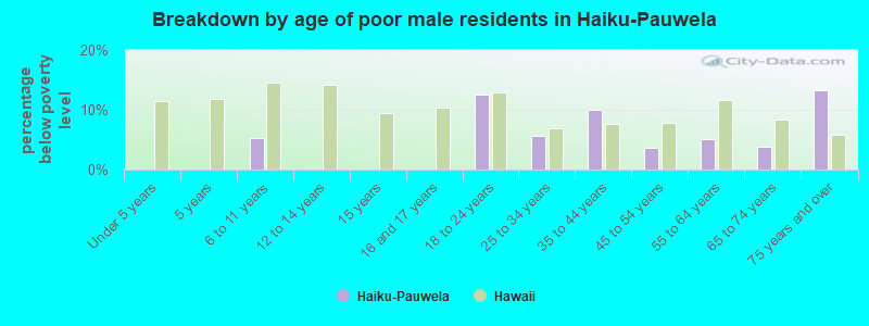 Breakdown by age of poor male residents in Haiku-Pauwela