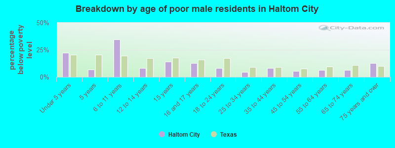Breakdown by age of poor male residents in Haltom City