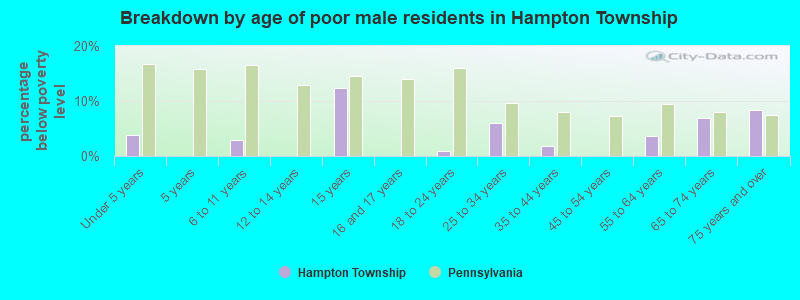 Breakdown by age of poor male residents in Hampton Township