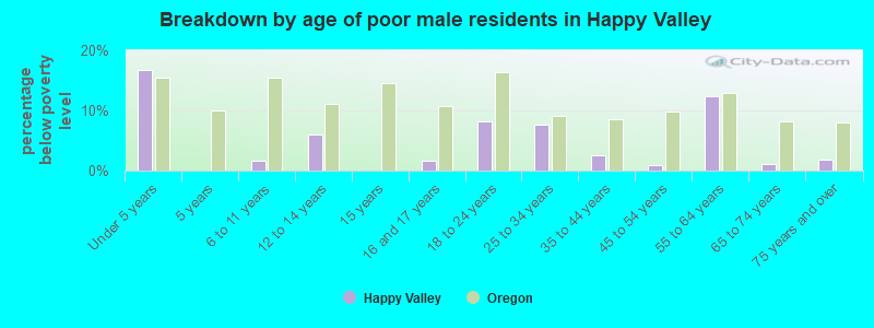 Breakdown by age of poor male residents in Happy Valley