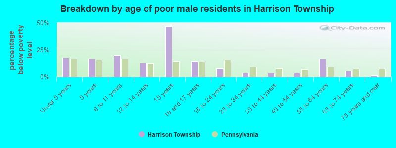 Breakdown by age of poor male residents in Harrison Township