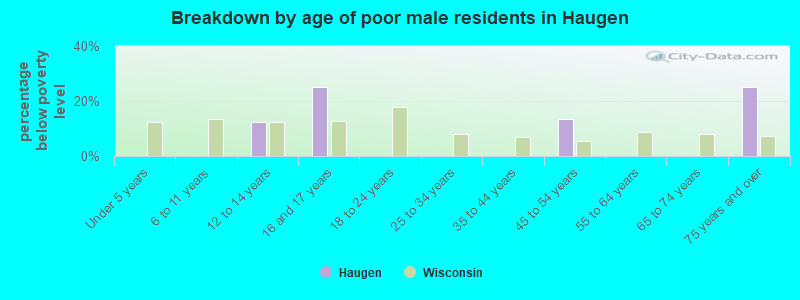 Breakdown by age of poor male residents in Haugen