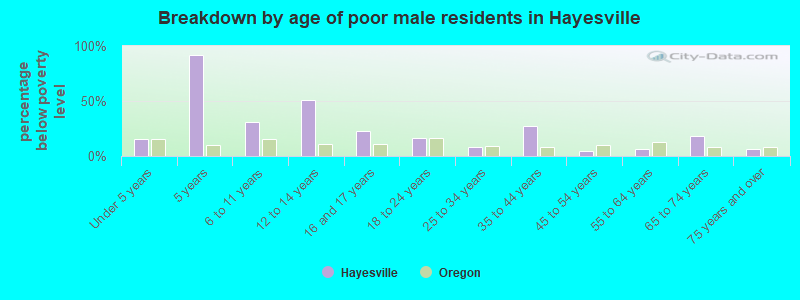 Breakdown by age of poor male residents in Hayesville
