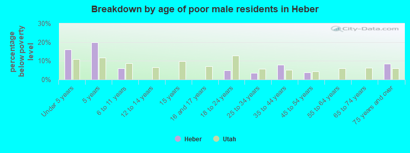 Breakdown by age of poor male residents in Heber