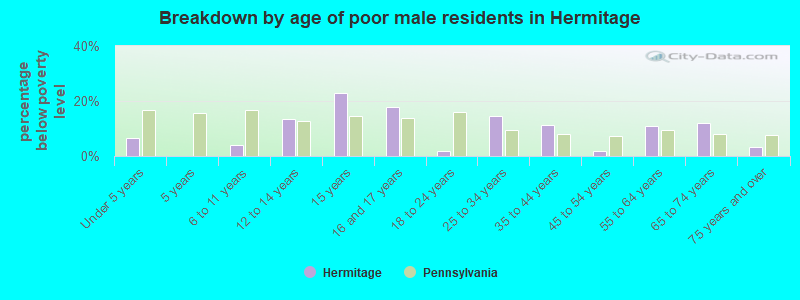 Breakdown by age of poor male residents in Hermitage