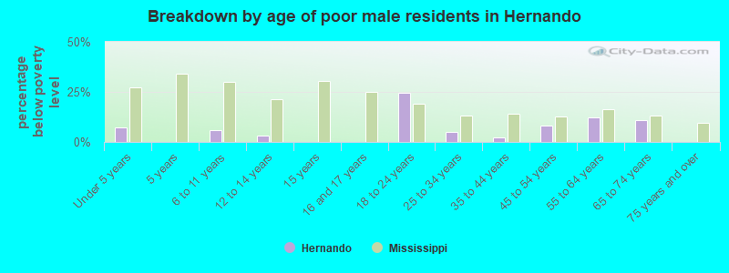 Breakdown by age of poor male residents in Hernando