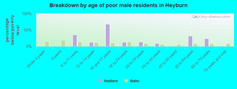 Breakdown by age of poor male residents in Heyburn