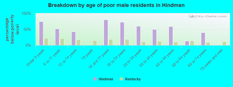 Breakdown by age of poor male residents in Hindman