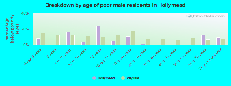 Breakdown by age of poor male residents in Hollymead