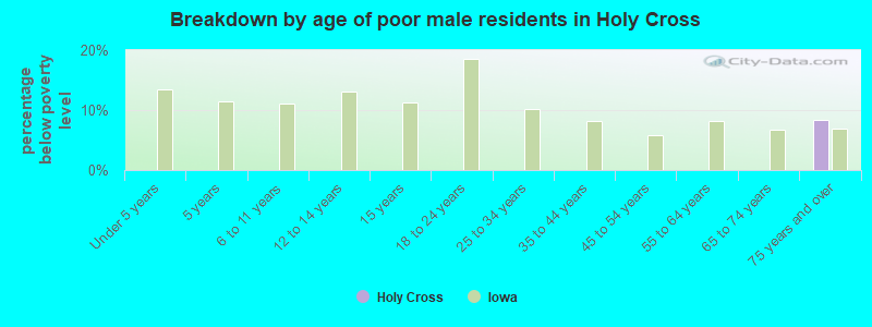 Breakdown by age of poor male residents in Holy Cross
