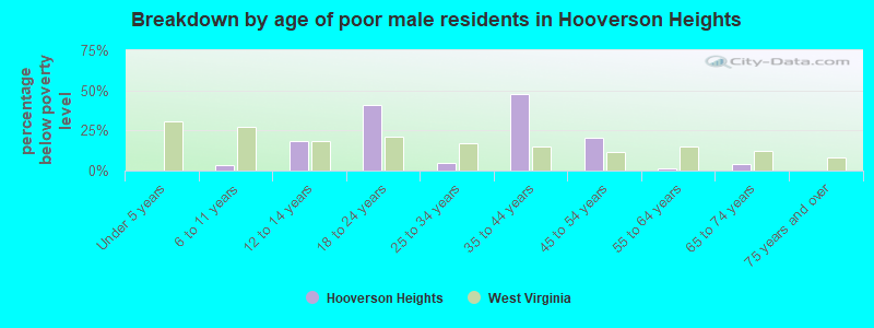 Breakdown by age of poor male residents in Hooverson Heights