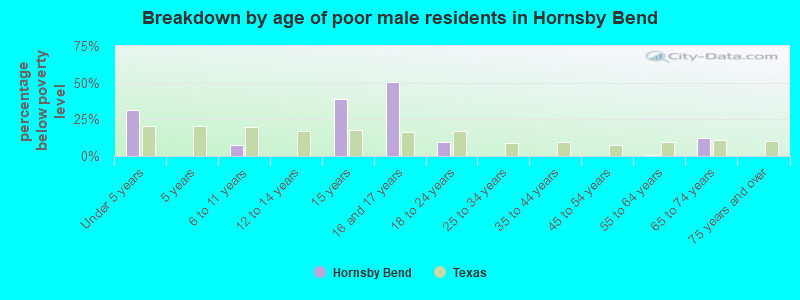 Breakdown by age of poor male residents in Hornsby Bend
