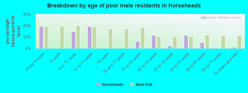 Breakdown by age of poor male residents in Horseheads