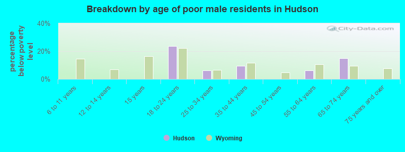 Breakdown by age of poor male residents in Hudson