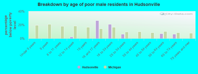 Breakdown by age of poor male residents in Hudsonville