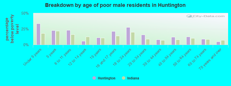 Breakdown by age of poor male residents in Huntington