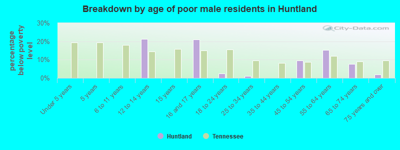 Breakdown by age of poor male residents in Huntland