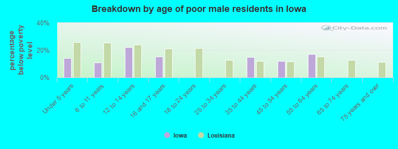Breakdown by age of poor male residents in Iowa