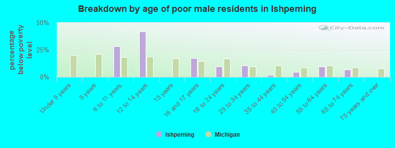 Breakdown by age of poor male residents in Ishpeming
