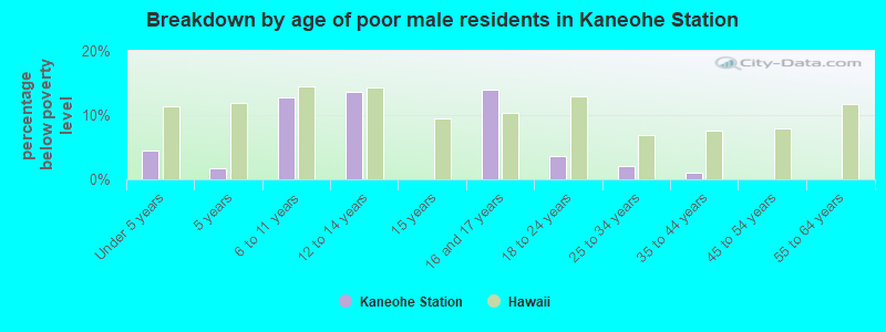 Breakdown by age of poor male residents in Kaneohe Station
