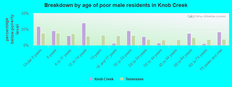 Breakdown by age of poor male residents in Knob Creek