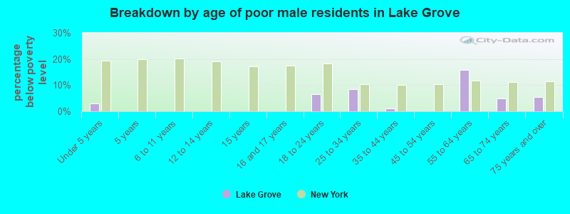 Breakdown by age of poor male residents in Lake Grove