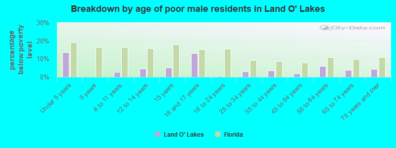 Breakdown by age of poor male residents in Land O' Lakes