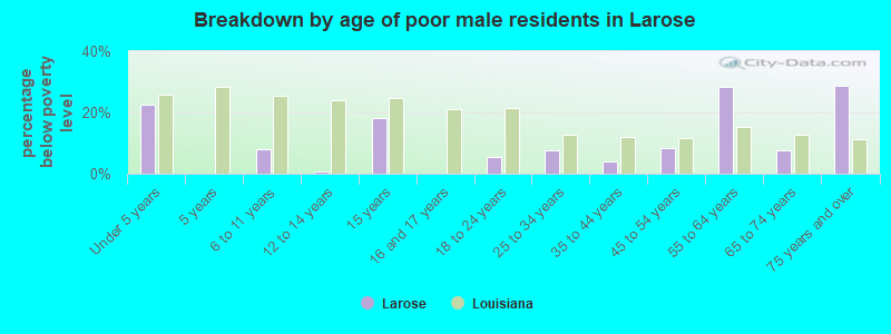 Breakdown by age of poor male residents in Larose