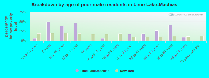 Breakdown by age of poor male residents in Lime Lake-Machias