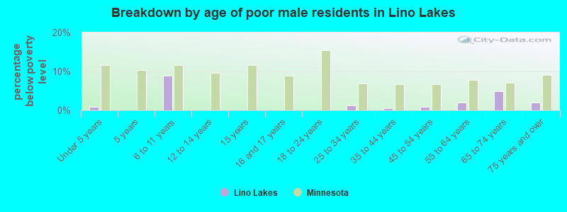 Breakdown by age of poor male residents in Lino Lakes