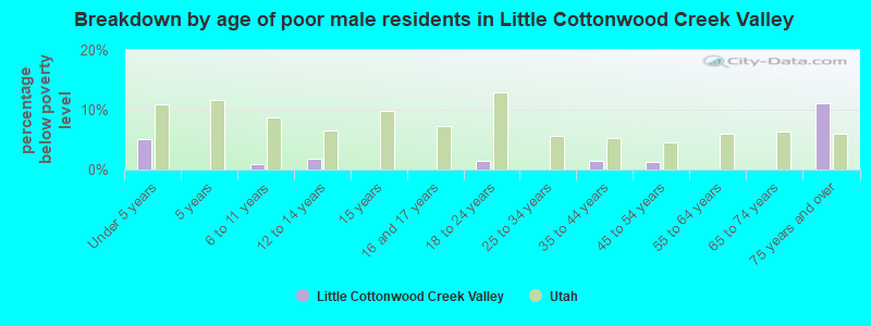 Breakdown by age of poor male residents in Little Cottonwood Creek Valley