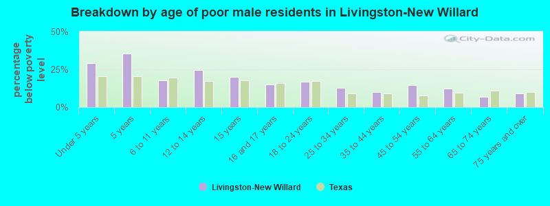 Breakdown by age of poor male residents in Livingston-New Willard