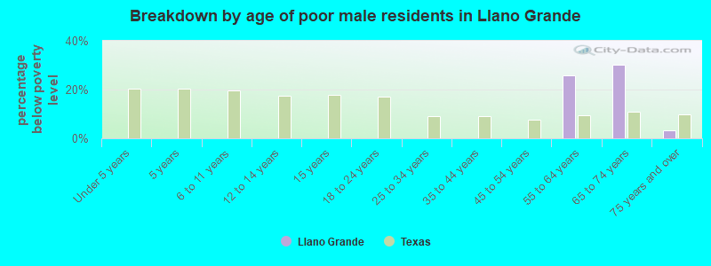 Breakdown by age of poor male residents in Llano Grande