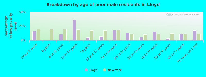Breakdown by age of poor male residents in Lloyd