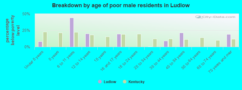Breakdown by age of poor male residents in Ludlow