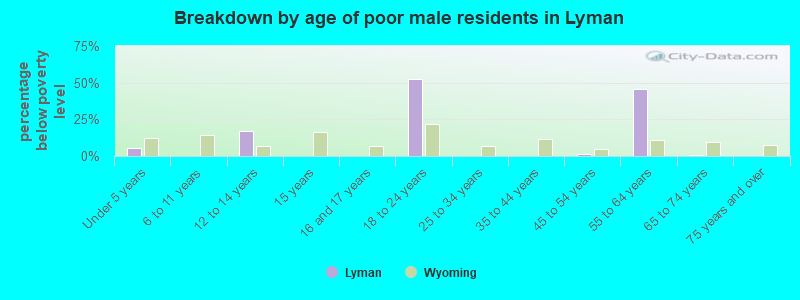 Breakdown by age of poor male residents in Lyman