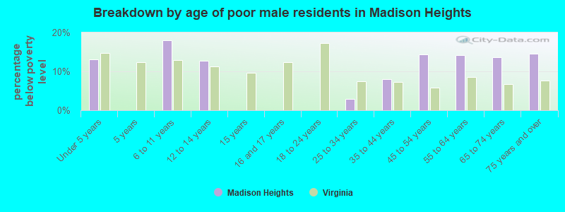 Breakdown by age of poor male residents in Madison Heights