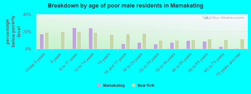 Breakdown by age of poor male residents in Mamakating