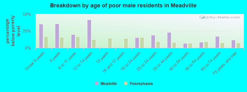 Breakdown by age of poor male residents in Meadville