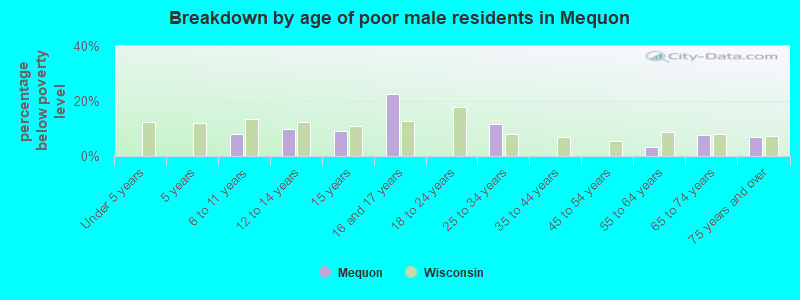 Breakdown by age of poor male residents in Mequon