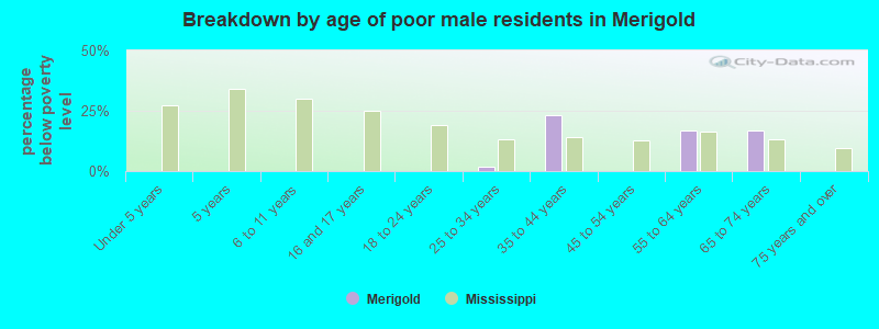 Breakdown by age of poor male residents in Merigold