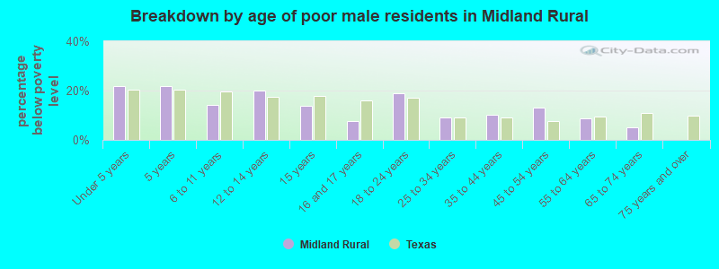 Breakdown by age of poor male residents in Midland Rural