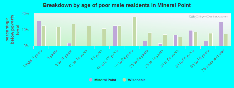 Breakdown by age of poor male residents in Mineral Point