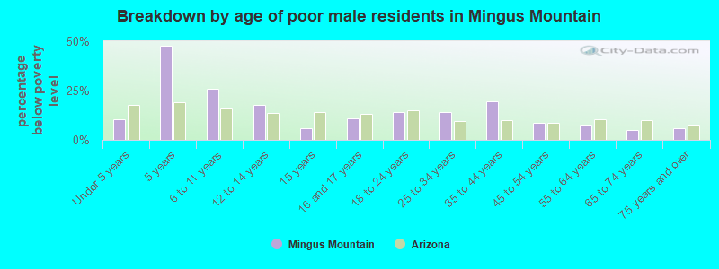 Breakdown by age of poor male residents in Mingus Mountain